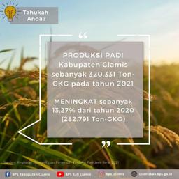 Nilai Tukar Petani (NTP) Januari 2021 Sebesar 103,26 Atau Naik 0,01 Persen